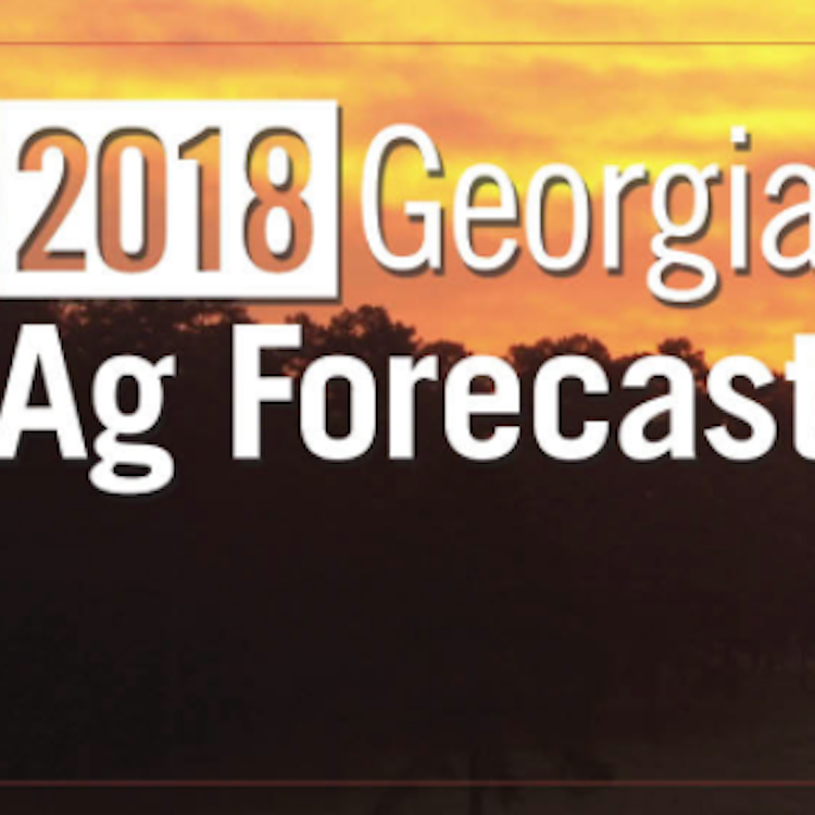 Ag Forecast Series: Opportunities, challenges ahead for farmers